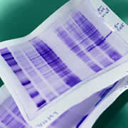 VBTA - Verband für Biologisch-technische Assistenten
